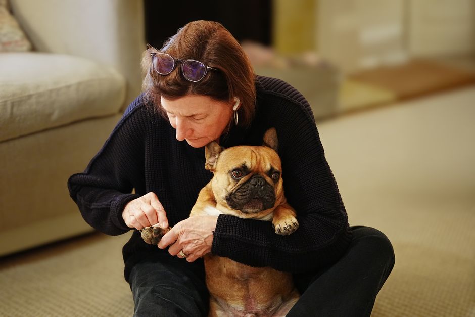 Como acostumar o cachorro a cortar as unhas: guia prático